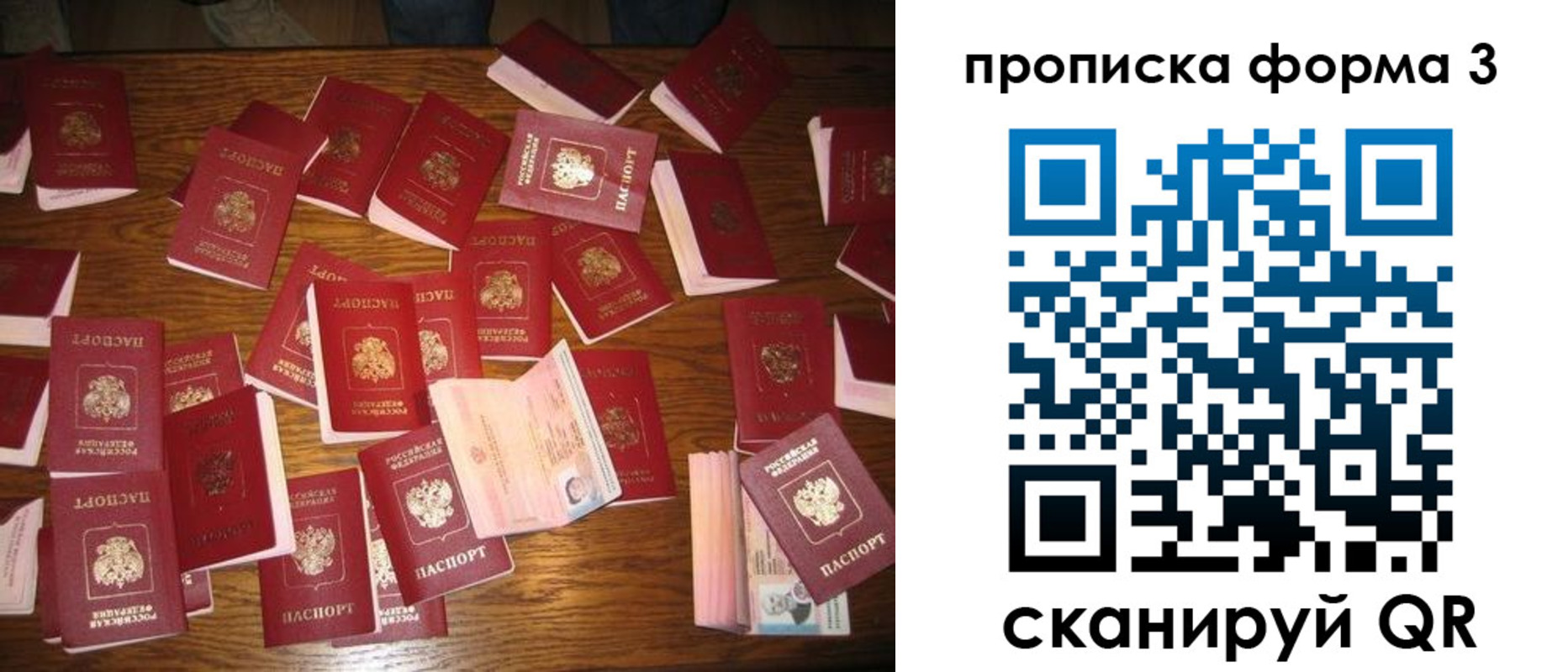 временная регистрация госуслуги в Светогорске